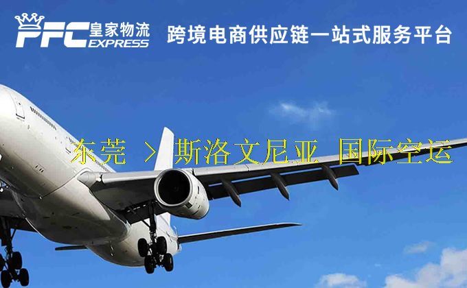 東莞到斯洛文尼亞空運(yùn)服務(wù)