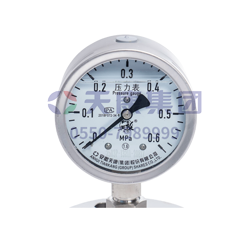 法蘭式隔膜壓力表